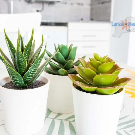 아파트 Casita Del Viento *