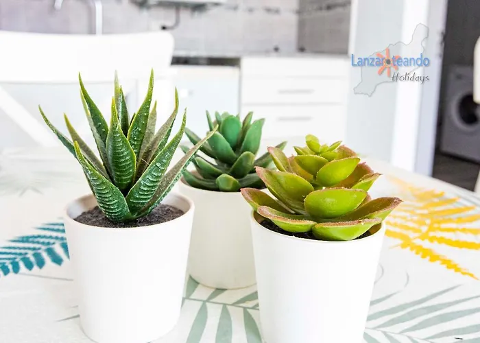 Apartment Casita Del Viento *