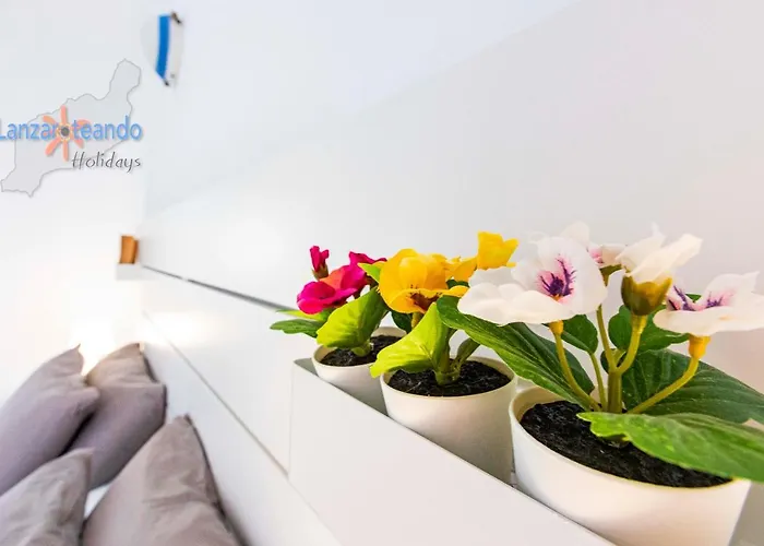 Casita Del Viento 公寓